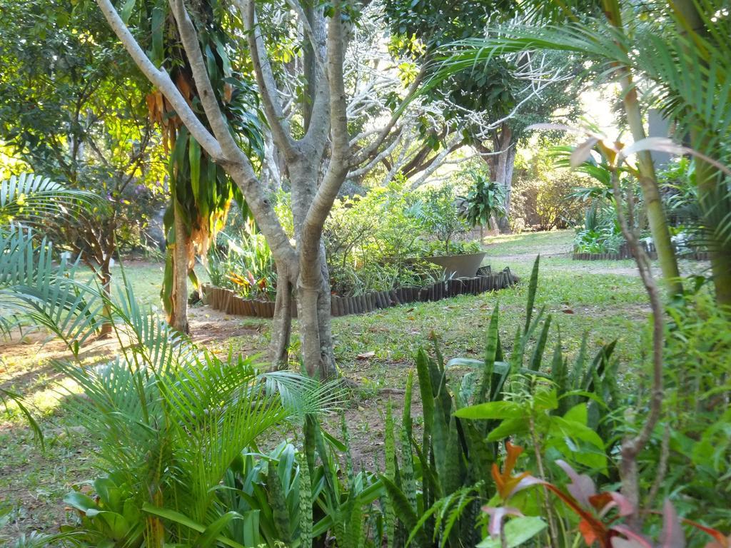 St Lucia Kingfisher Lodge Dış mekan fotoğraf